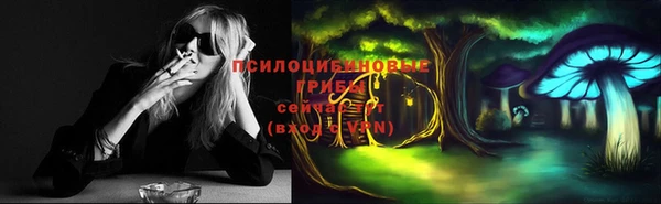 PSILOCYBIN Нязепетровск