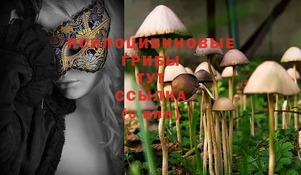 PSILOCYBIN Нязепетровск